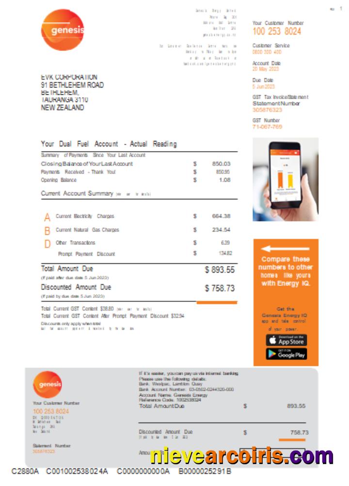 Genesis Gas utility business bill, page 1